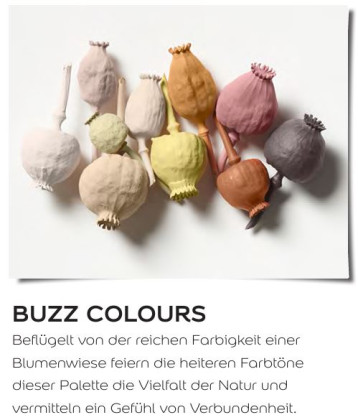 Buzz Colours