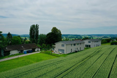 Neubau Tolenackerstrasse in Üsslingen